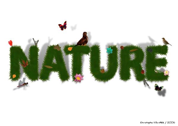 Nature.jpg