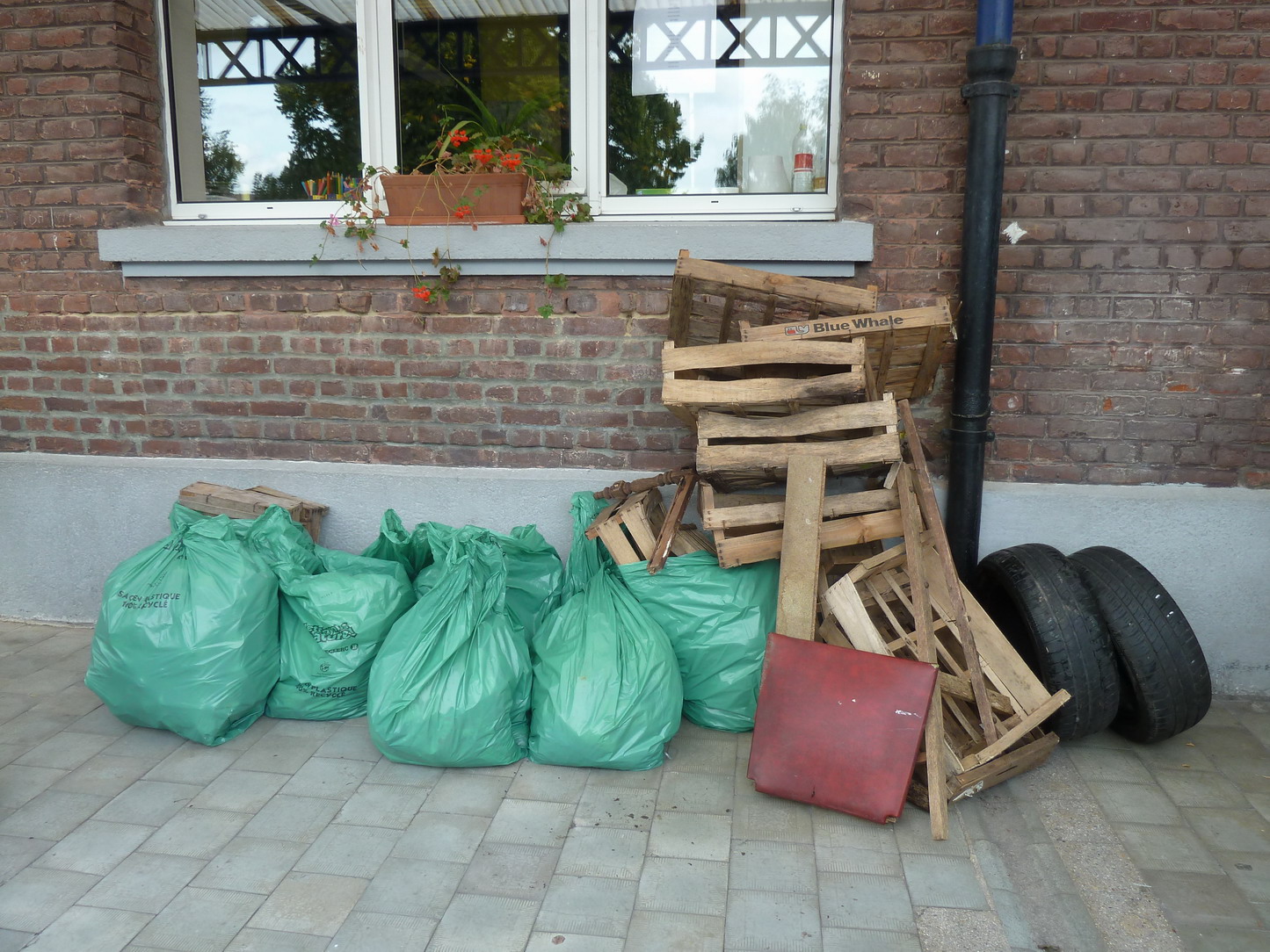 P1000863.jpg